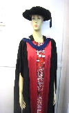 Fullset-Doctoral-147